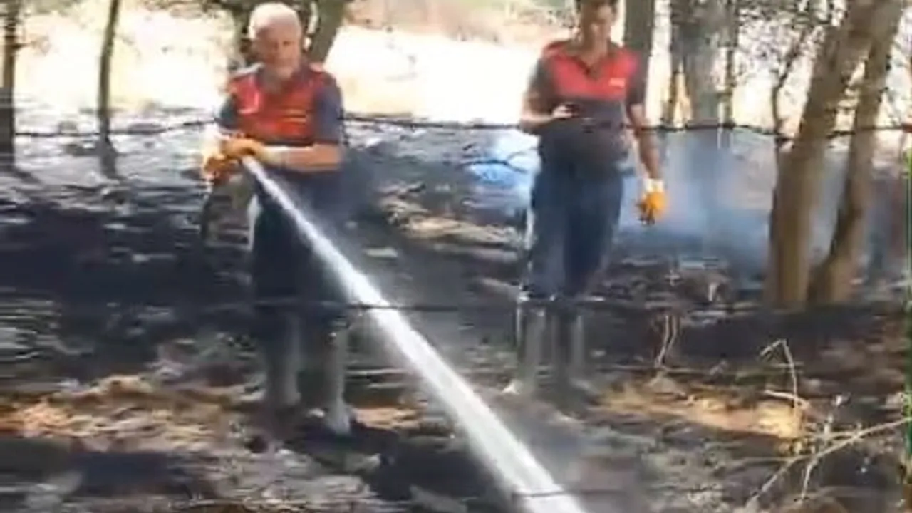 Elazığ'da Karakoçan ilçesinde örtü yangını kontrol altına alındı