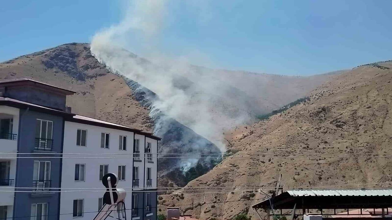 Elazığ'da Nimri Dağı'nda yangın