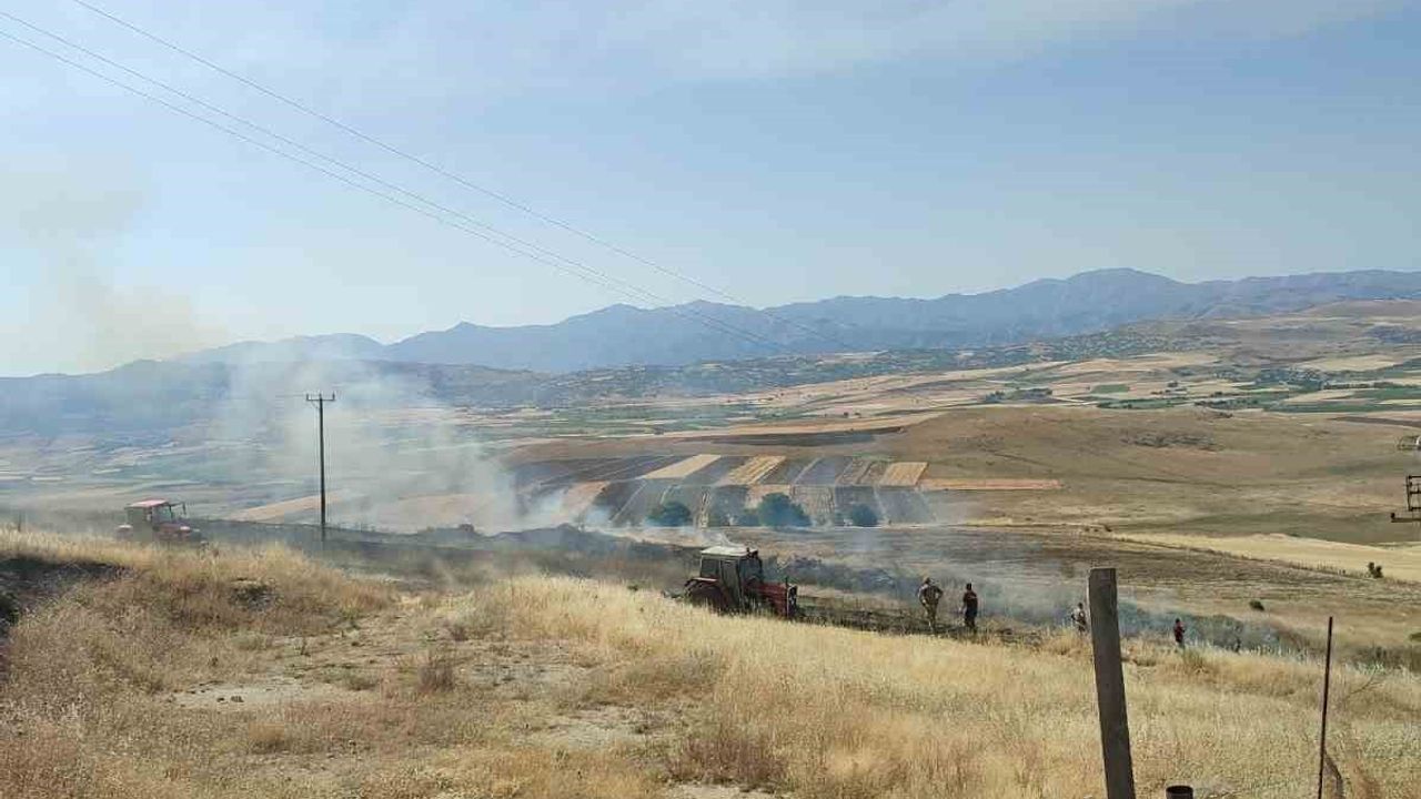 Elazığ'da örtü yangını 40 dönümlük arpa tarlasını kül etti