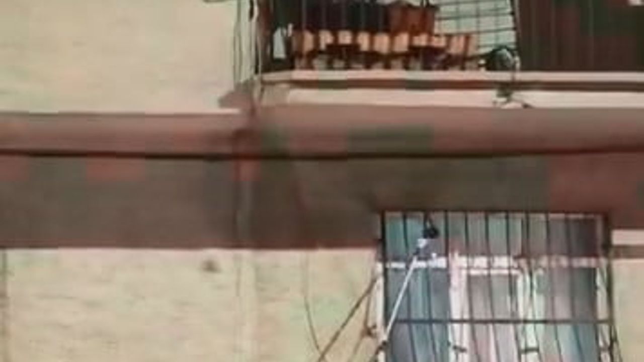 Elazığ'da pencere korkuluğundaki yılan itfaiye ekiplerince yakalandı