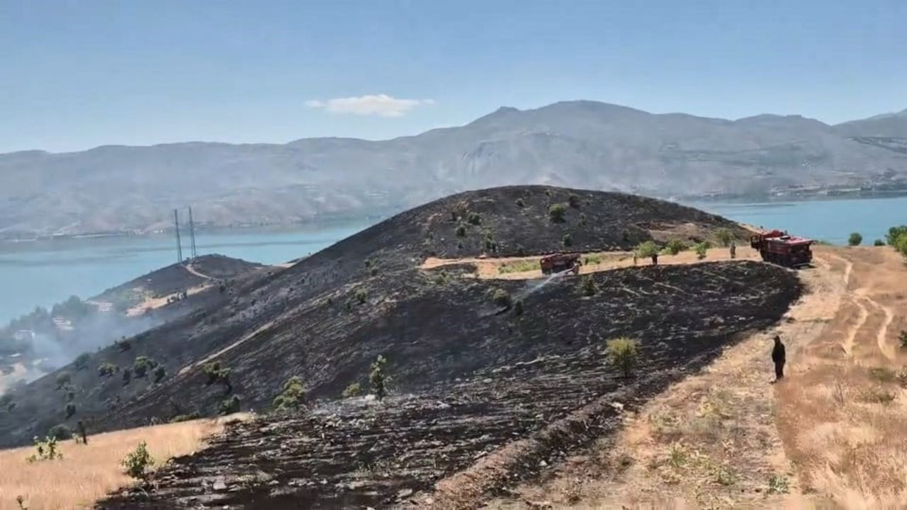 Elazığ'da Sivrice ilçesinde arazi yangını söndürüldü