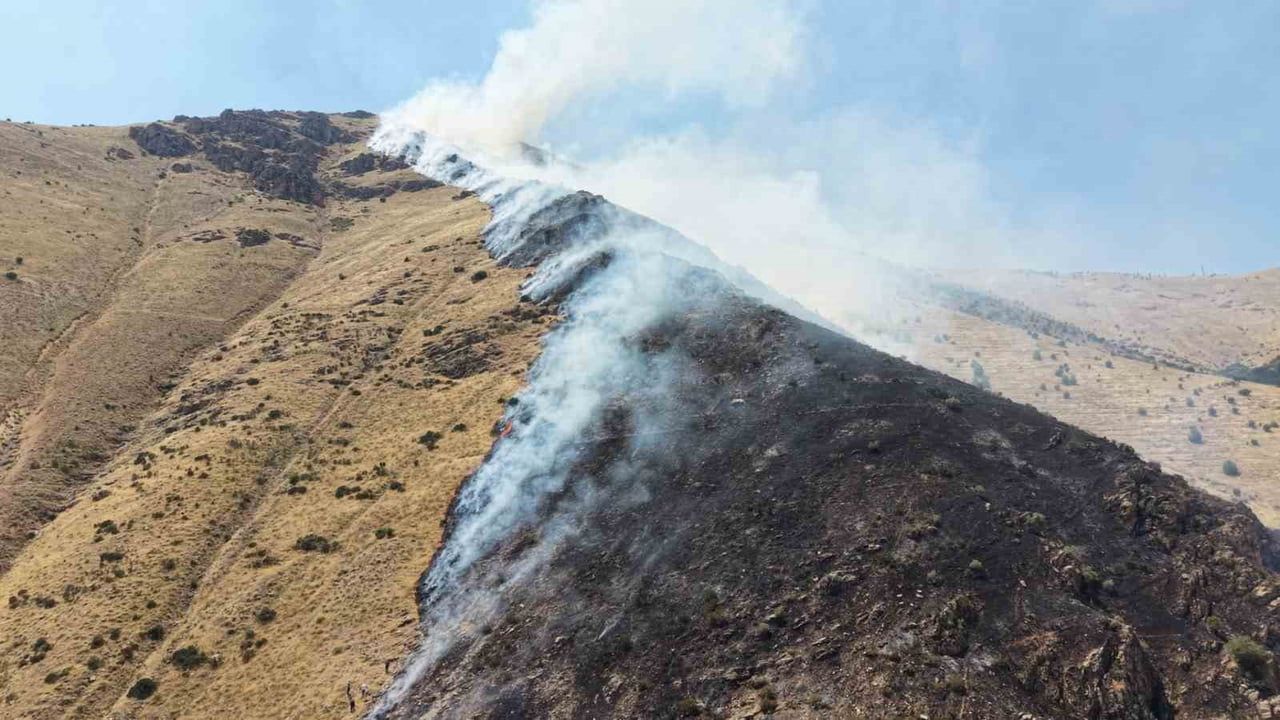 Elazığ Nimri Dağı'nda alevlerle mücadele: ekipler karadan ve havadan seferber