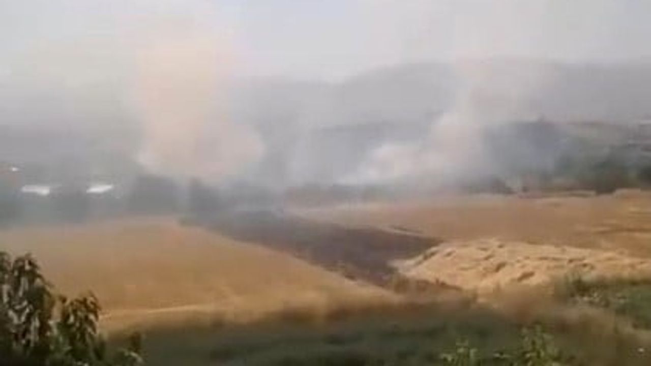 Elazığ Tadım'da otluk yangını erken ihbarla kontrol altına alındı