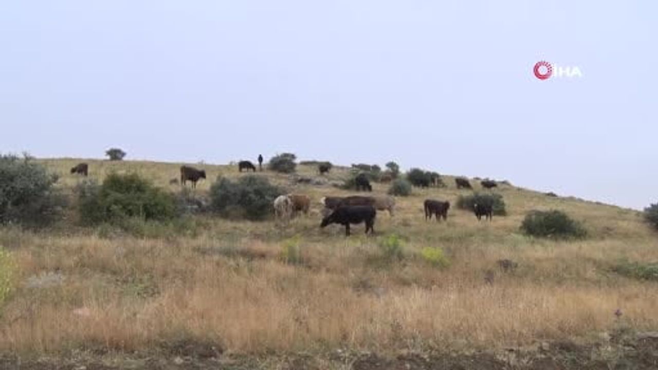 Elmadağ'da fırtına sırasında yıldırımdan bir kişi yaşamını yitirdi