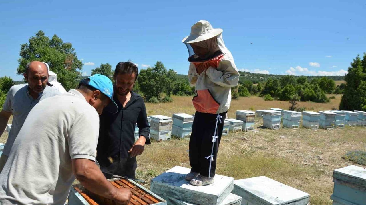 Emet kaymakamı Başkapan arıcılarla bir araya geldi