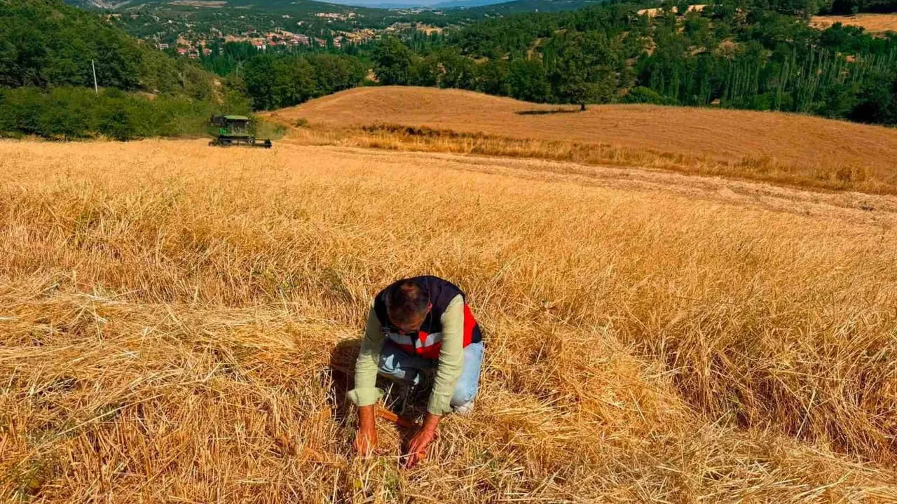 Emet, Şaphane ve Domaniç'te biçerdöver denetimleri sürüyor