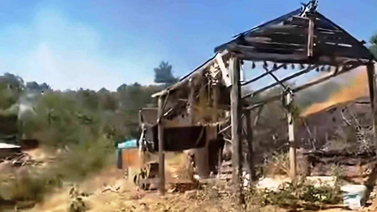 Emet'te hızlı müdahale yangının ormana sıçramasını engelledi