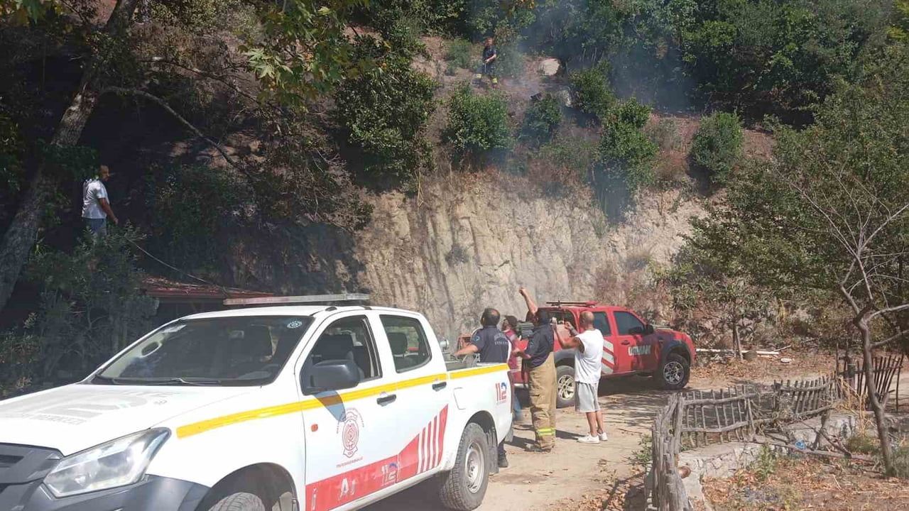 Erdek'te hızlı koordinasyon yangını geniş alana yayılmadan söndürdü