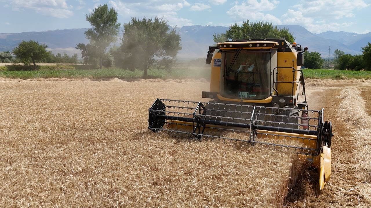 Erzincan'da biçerdöver denetimleriyle hasat güvence altına alınıyor