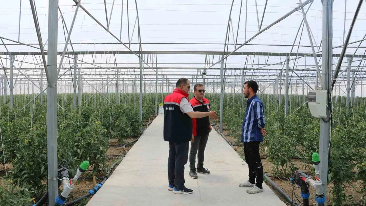 Erzincan’da seracılık faaliyetleri yerinde incelendi