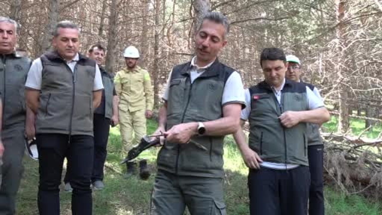 Erzurum'un ormanlarına planlı bakım: Palandöken'de yangın riskine karşı müdahale