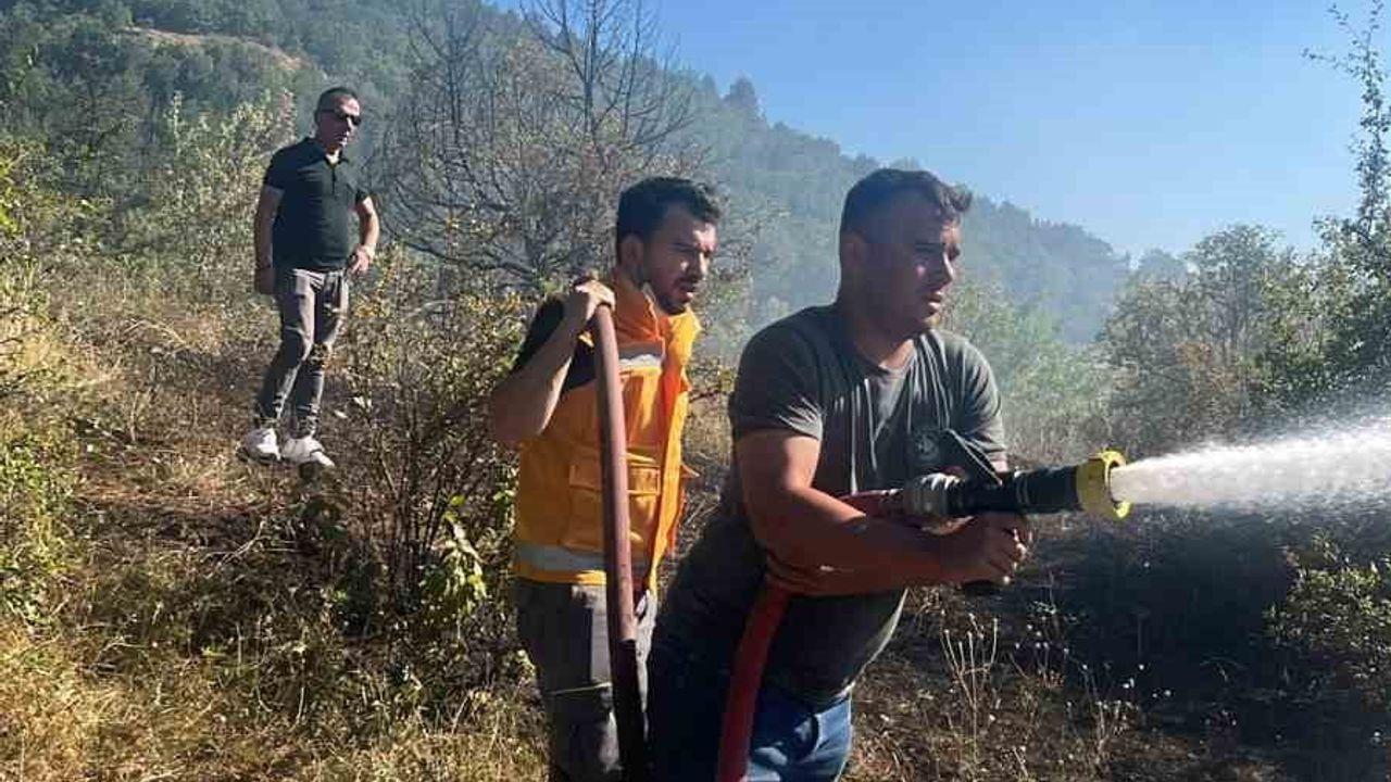 Eskipazar'da anız alevleri kısa sürede kontrol altına alındı
