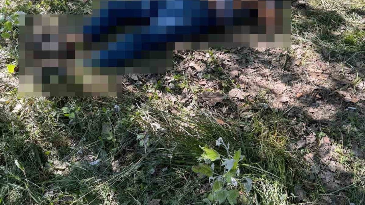 Eskişehir'de ağaçlık alanda ölü bulunan 62 yaşındaki kişi için inceleme