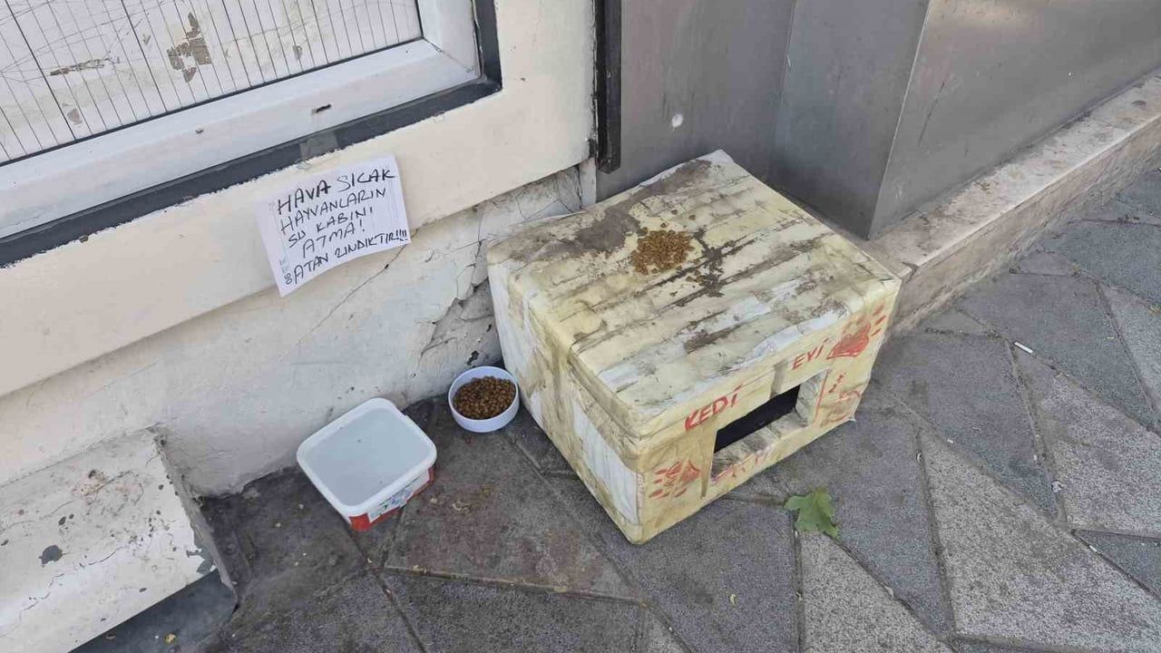 Eskişehir'de kedi evi ve notla sokak hayvanlarına uyarı