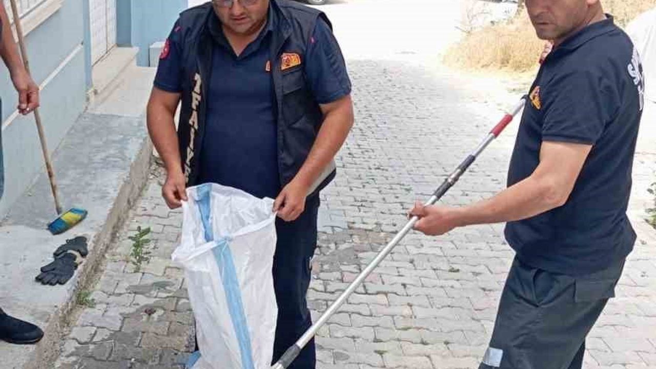 Evde panik yaratan misafir: yılan itfaiyenin müdahalesiyle doğaya döndü