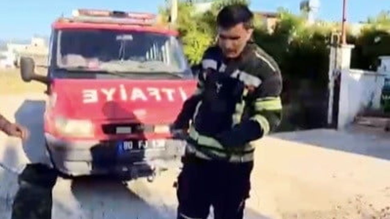 Evin avlusundaki yılan itfaiye müdahalesiyle güvenli alana taşındı