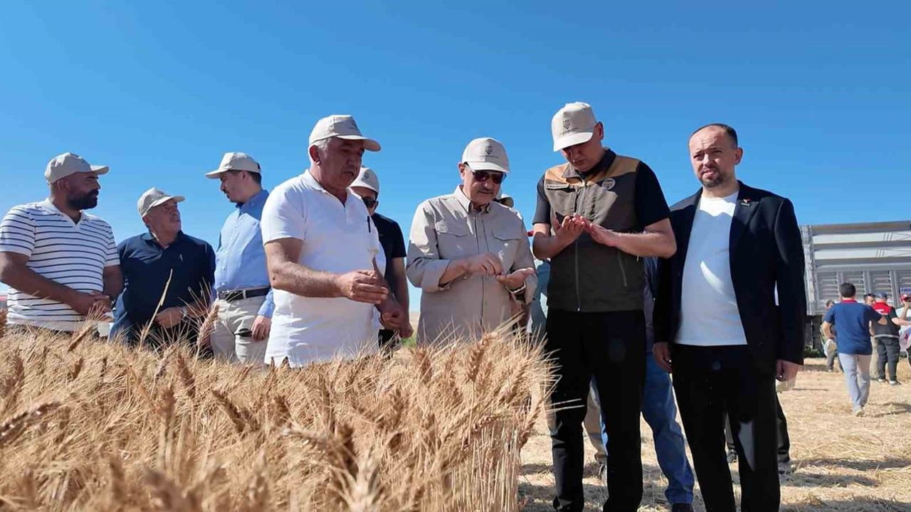 Fatih Dönmez Eskişehir'de buğday hasadına katıldı