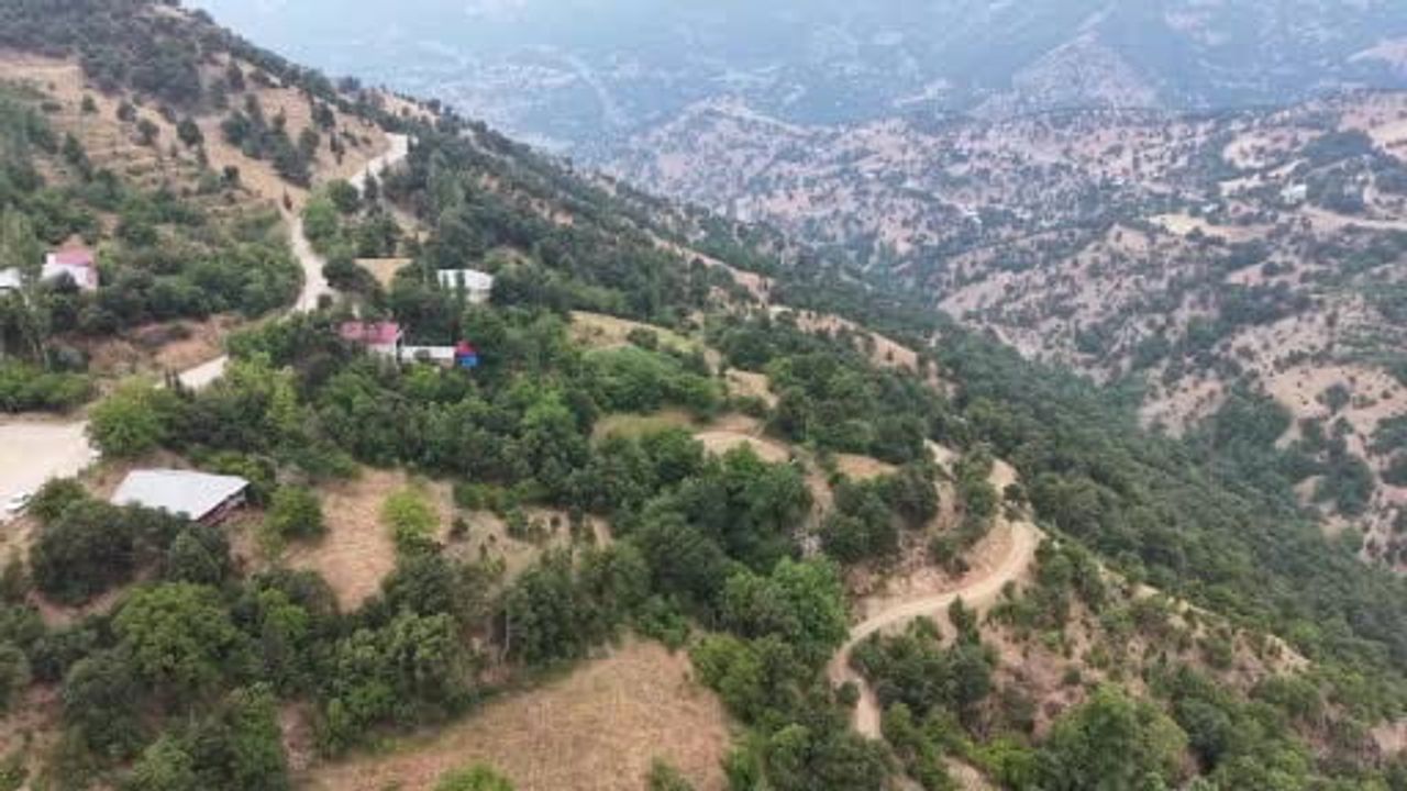 Feke'nin Gaffaruşağı Mahallesi'nde kantaron ve kekik zeytinyağıyla şifa kaynağına dönüşüyor