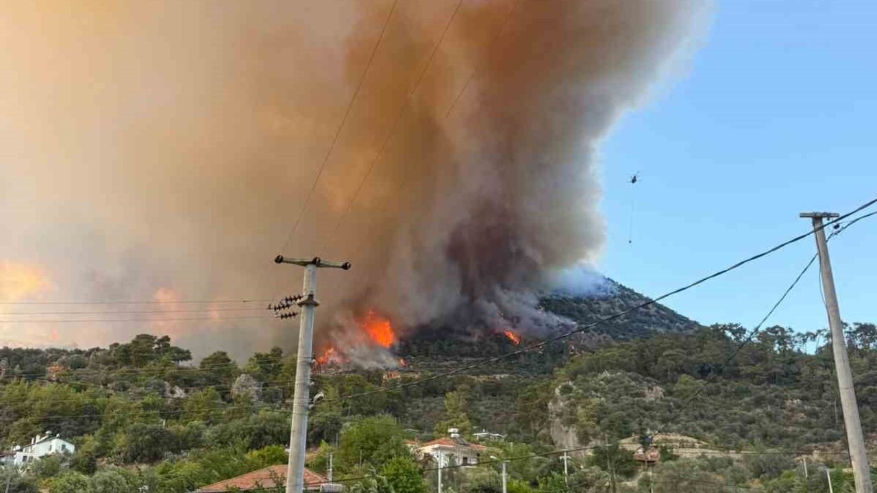 Fethiye'de rüzgarla yayılan orman yangınına büyük çaplı müdahale