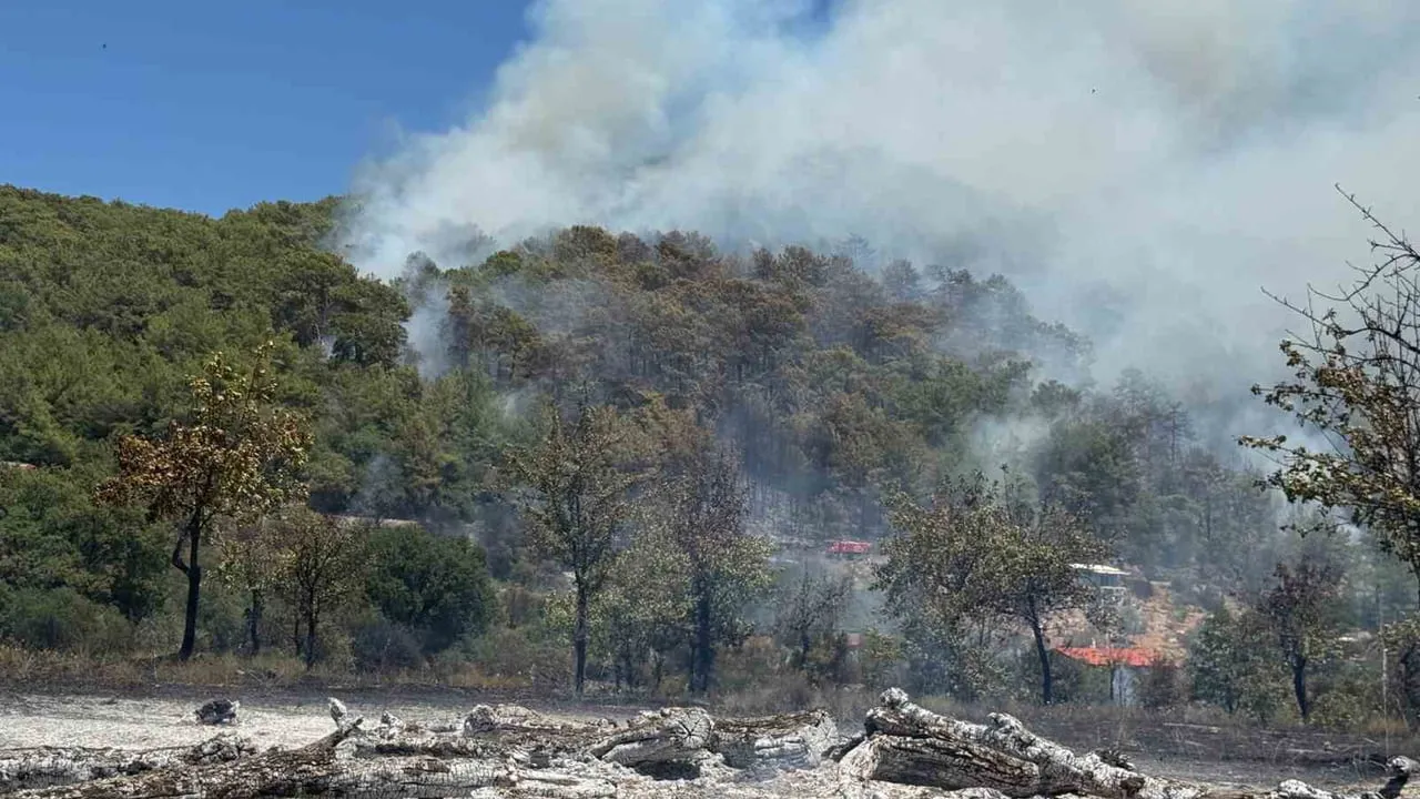 Fethiye Göcek'te rüzgarla yayılan orman yangınına yoğun müdahale