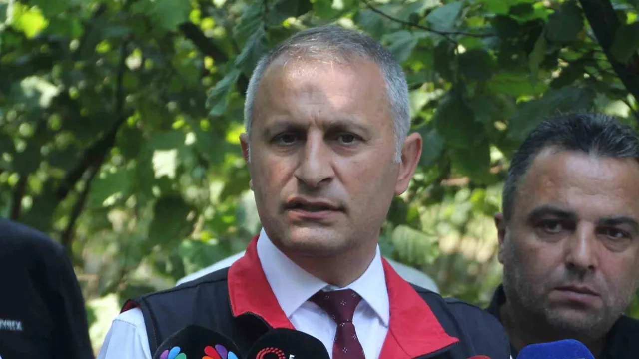 Fındıkta rekolte tespit çalışmaları Ordu'da başladı