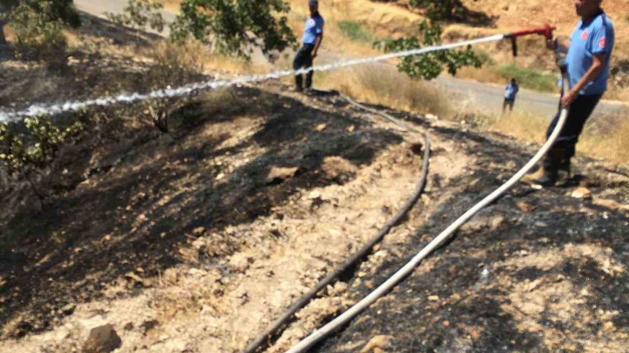 Fıstık tarlasındaki yangın Nizip'te bir yaşamı söndürdü