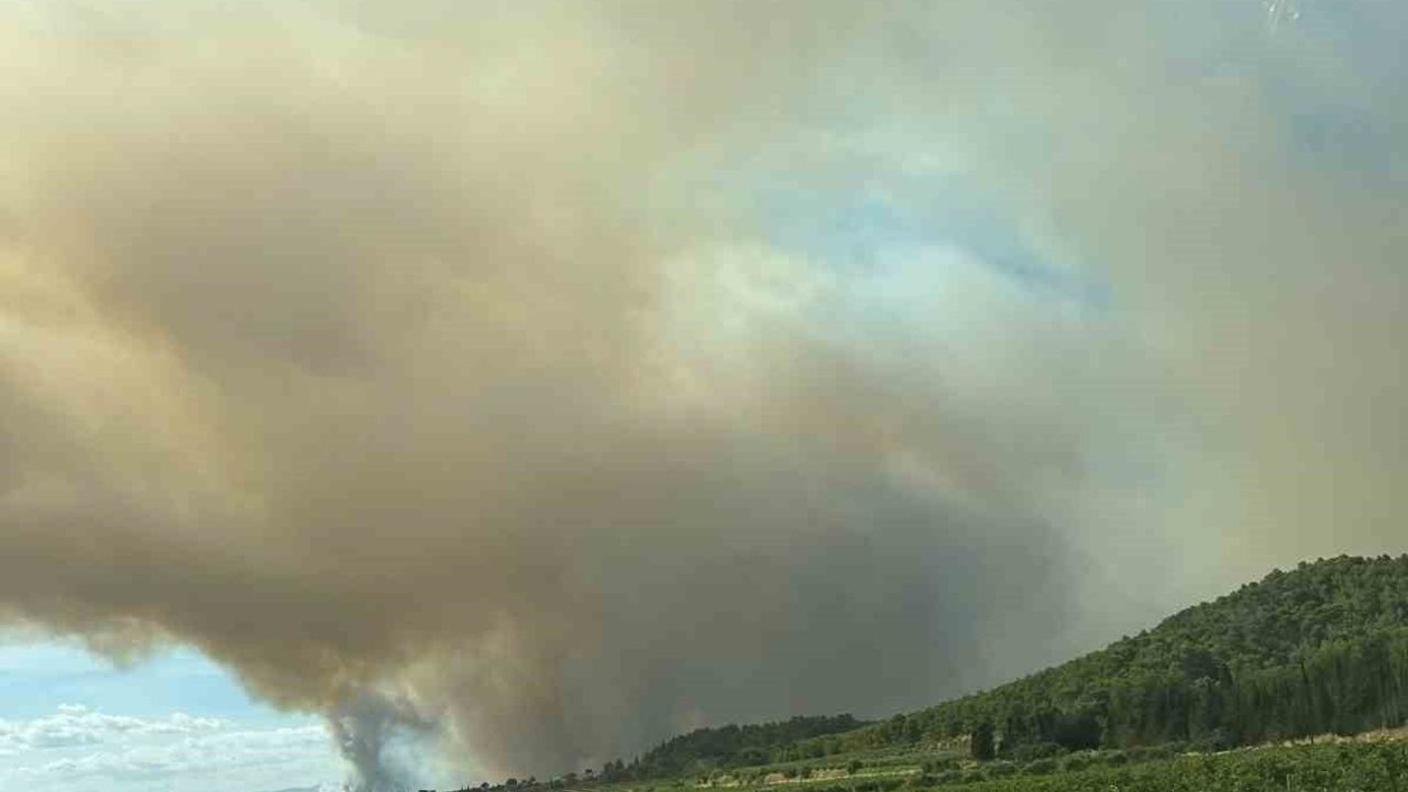 Fransa’da Herault ve Aude sınırında 900 hektar orman küle döndü
