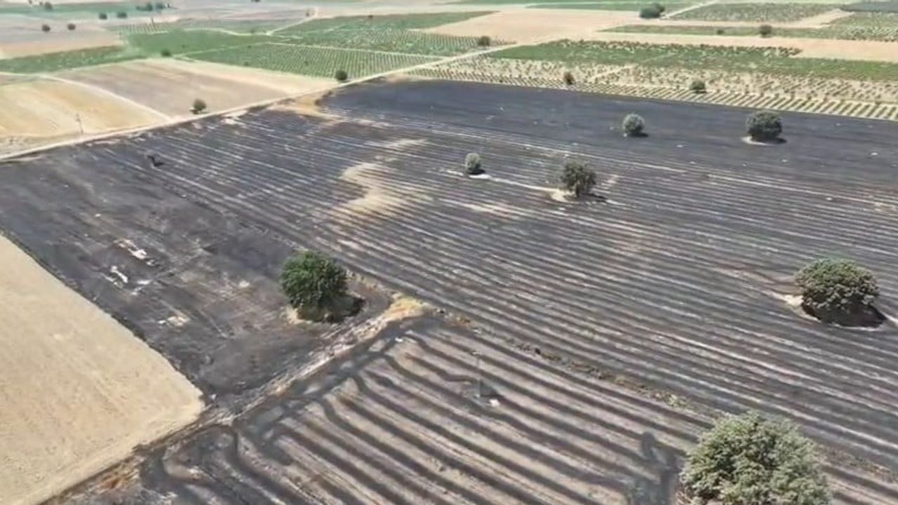Gaziantep'te anız yangını geniş tarım arazilerini etkiledi