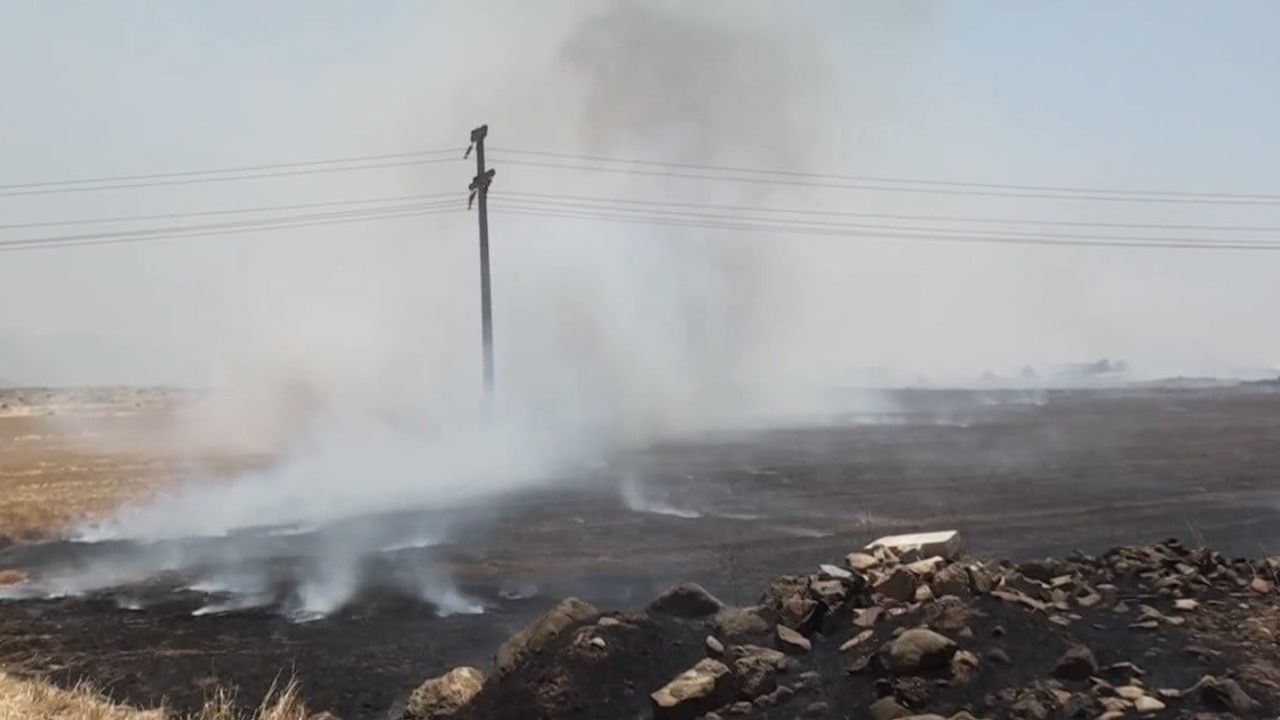 Gaziantep'te anız yangınıyla ilgili 3 kişi gözaltına alındı