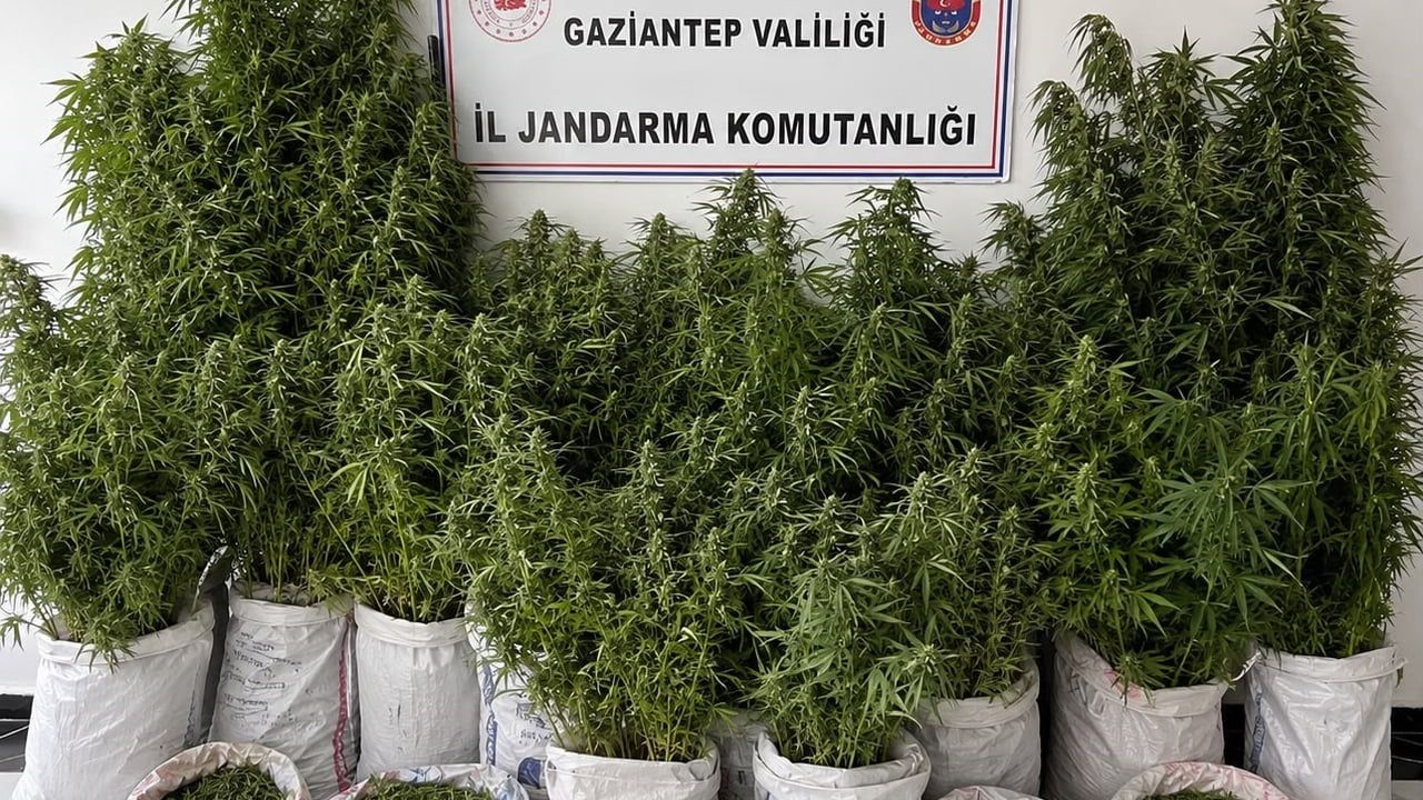 Gaziantep’te haziran operasyonlarında 311 şüpheliden 46'sı tutuklandı