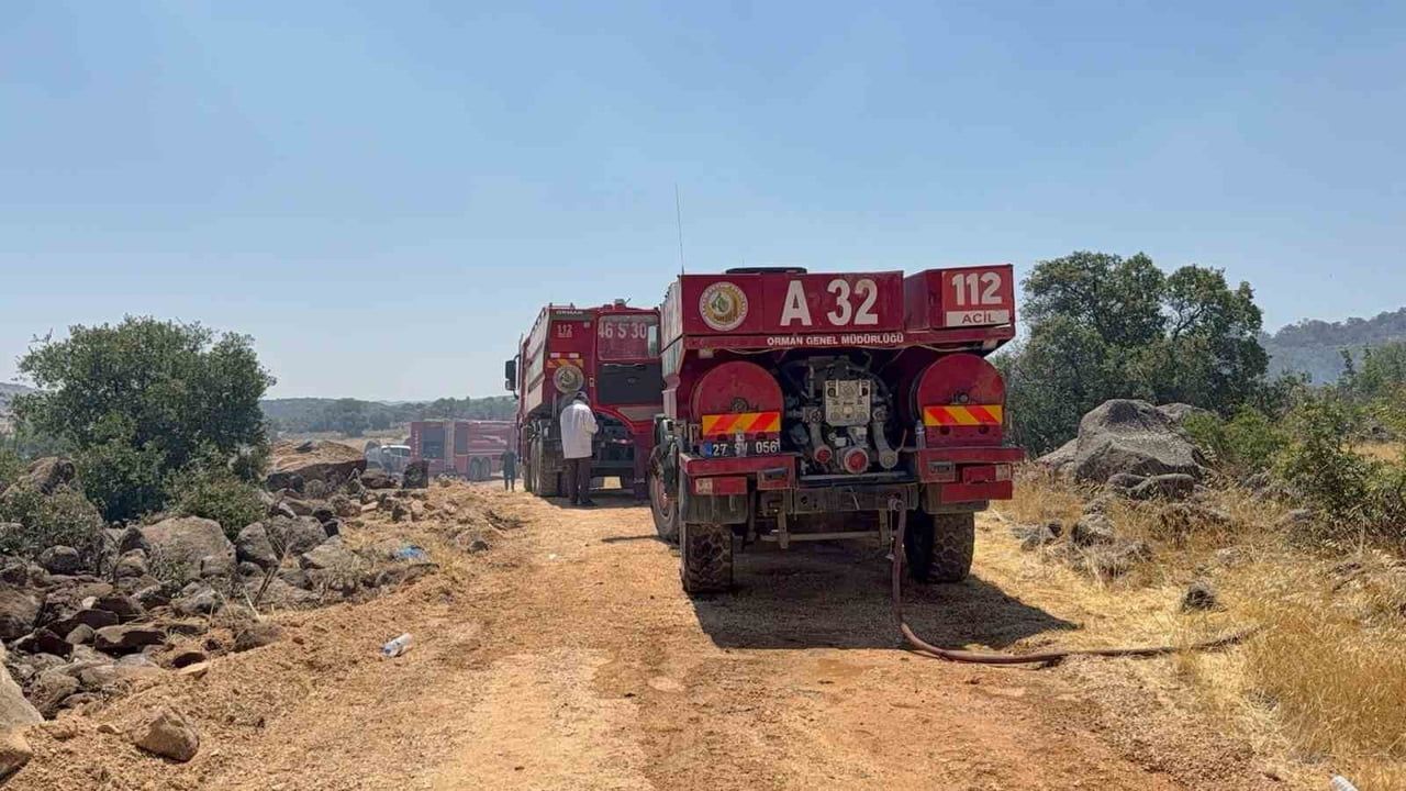 Gaziantep'te Şehitkamil kırsalındaki orman yangını kontrol altına alındı