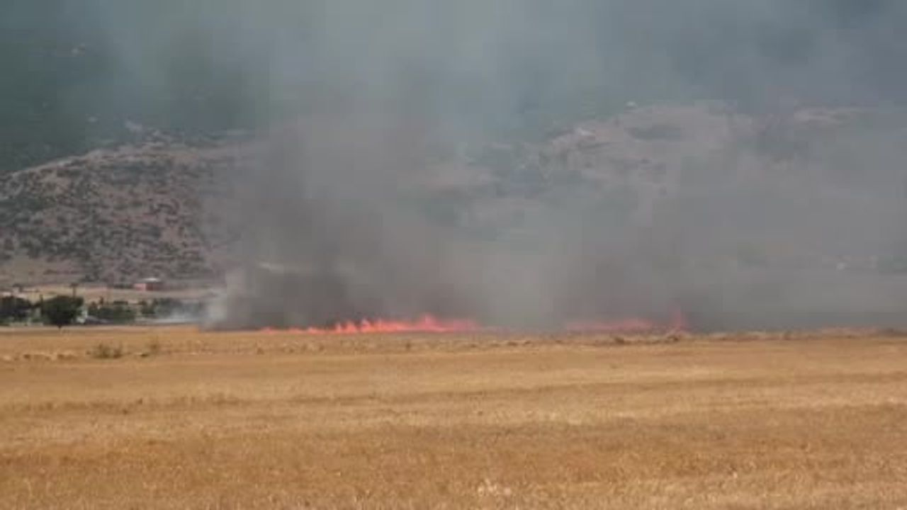 Gaziantep'te tarla yangını kısa süreli paniğe yol açtı