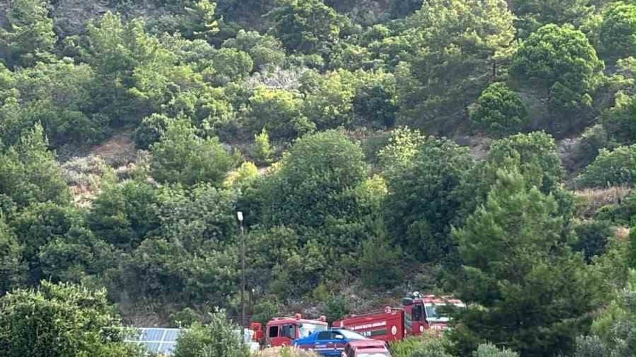 Gazipaşa'da hızlı müdahale örtü yangınının sıçramasını engelledi