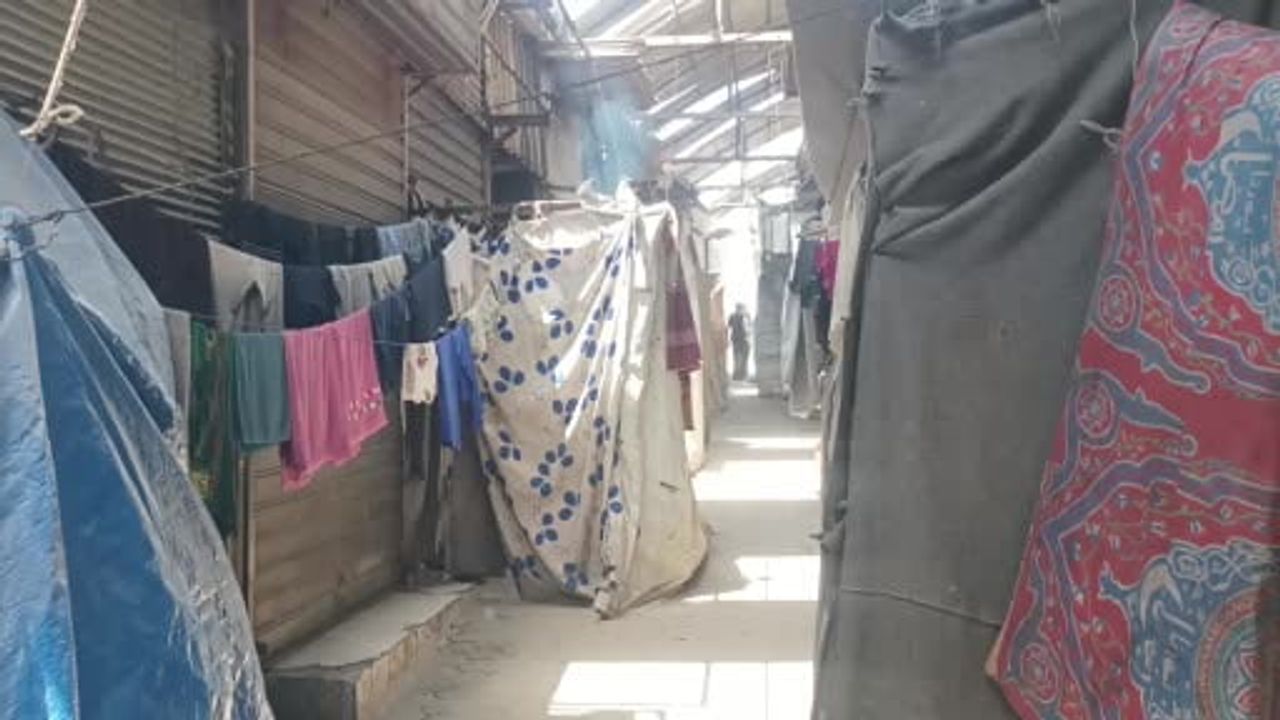 Gazze'de suçiçeği artışı: temiz su ve hijyen eksikliği vakaları 9 bine taşıdı