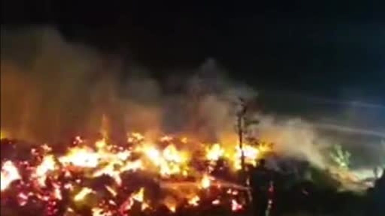geceyi aydınlatan alevler çukuryurt'ta yaklaşık 2 bin balyayı yok etti
