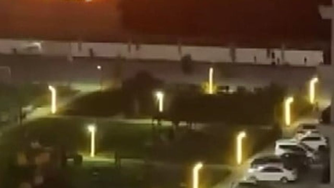 Geceyi aydınlatan alevler, Diyarbakır'da yerleşimlere ulaşmadan durduruldu
