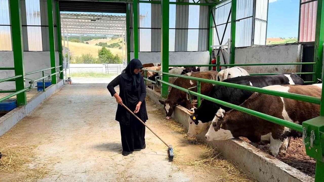 Gediz'e 12 milyon TL'lik 40 baş kapasiteli modern büyükbaş besi işletmesi açıldı