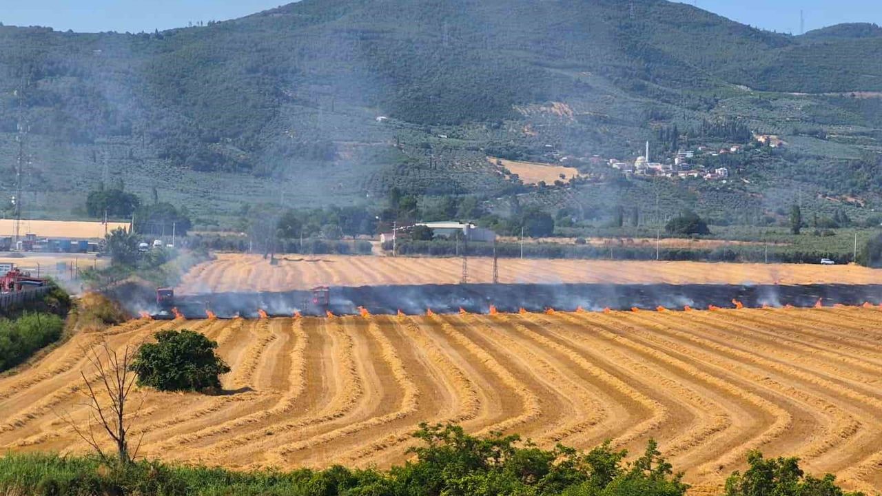 Gemlik Serbest Bölge yakınında otluk yangını kontrol altına alındı