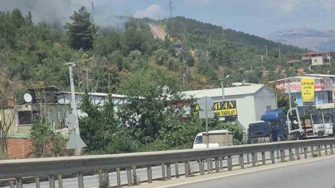 Gemlik'te zeytinlik alanda çıkan yangın kontrol altına alındı