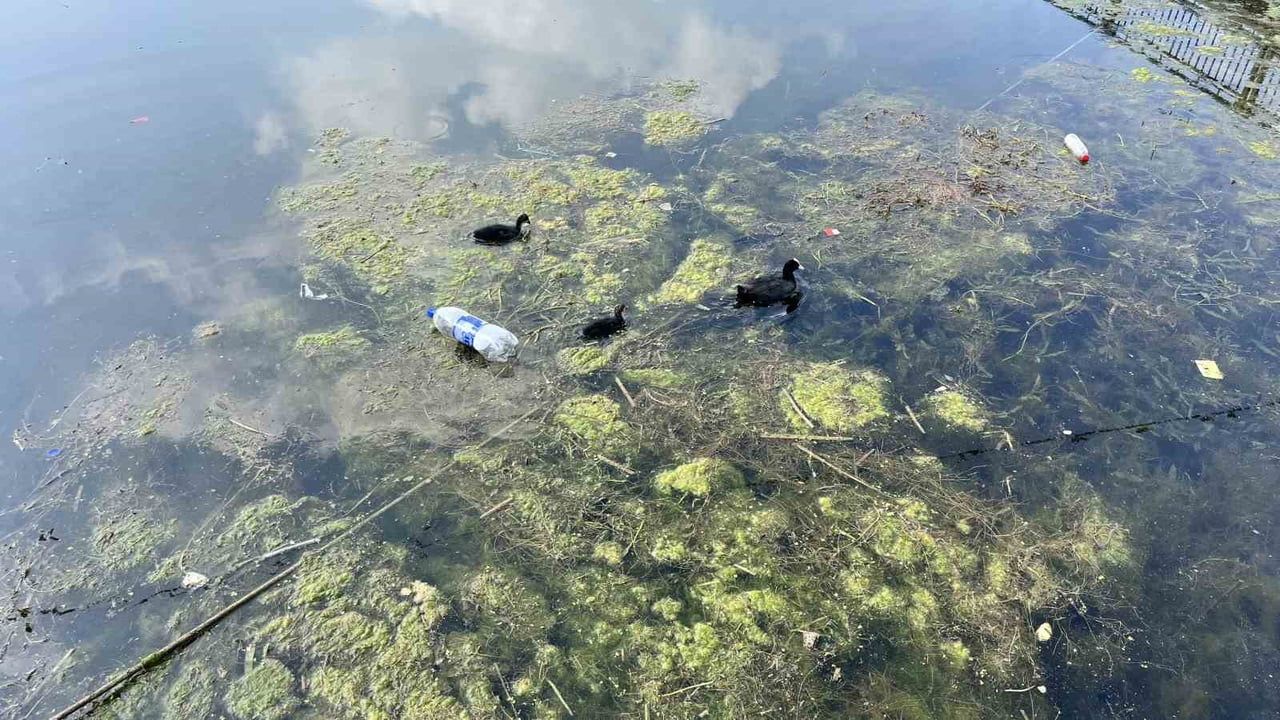 Genç gönüllü kendi sandalıyla Seyhan Nehri'ni temizlemeye çıktı