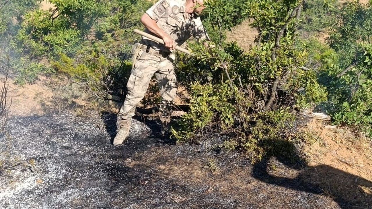 Genç ilçesinde yol kenarında çıkan yangın söndürüldü