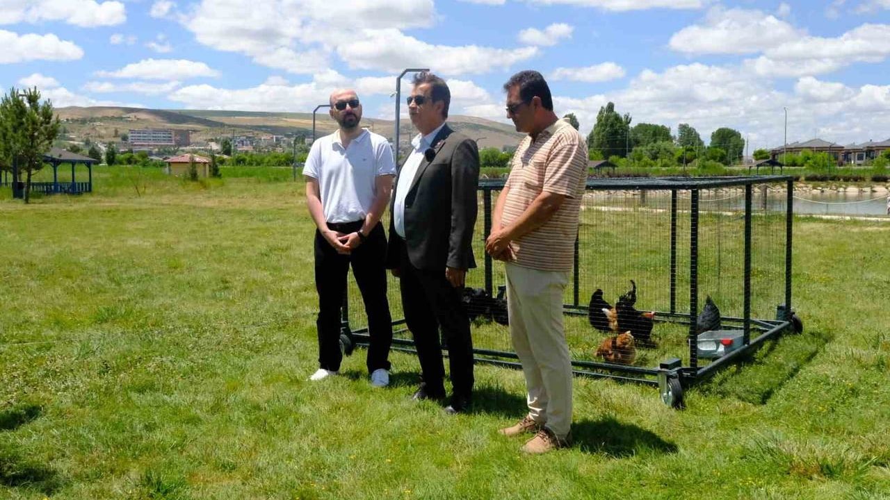 Gezici tavuk kümesiyle Sivas Cumhuriyet Üniversitesi'nde kene önlemi