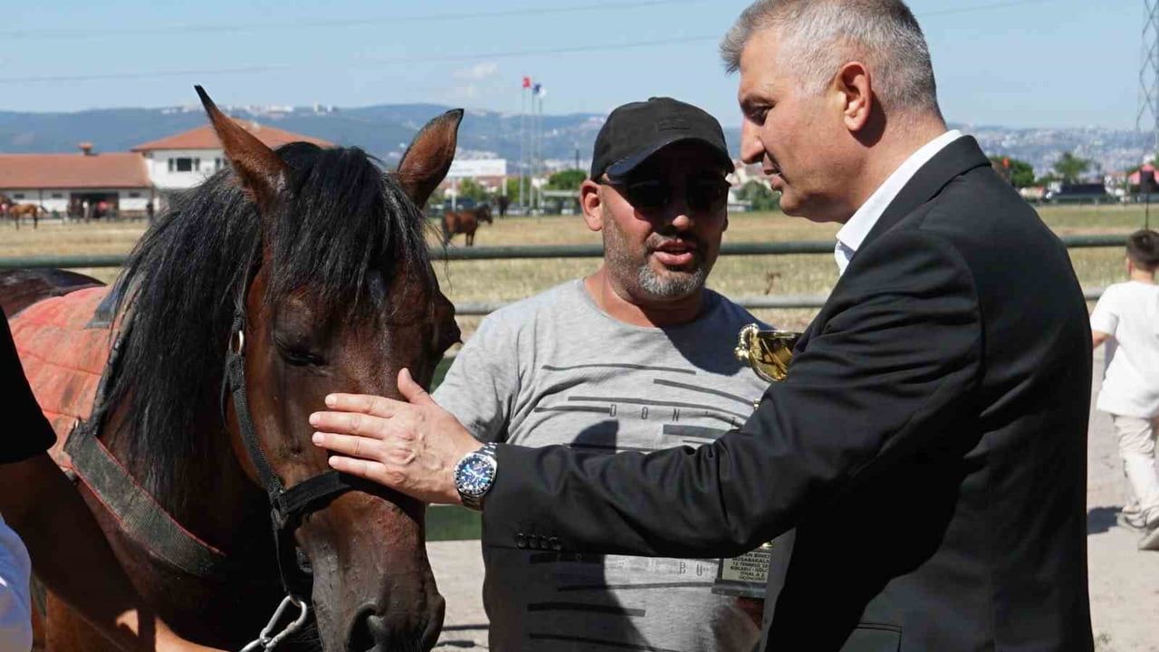 Gölcük’te Değirmendere rahvan at yarışları düzenlendi