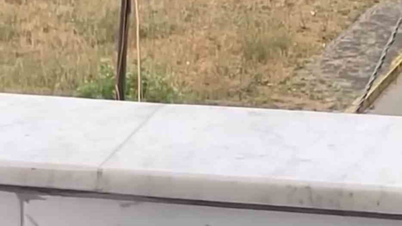 Gölcük'te tartıştığı amcasını palayla öldürdü