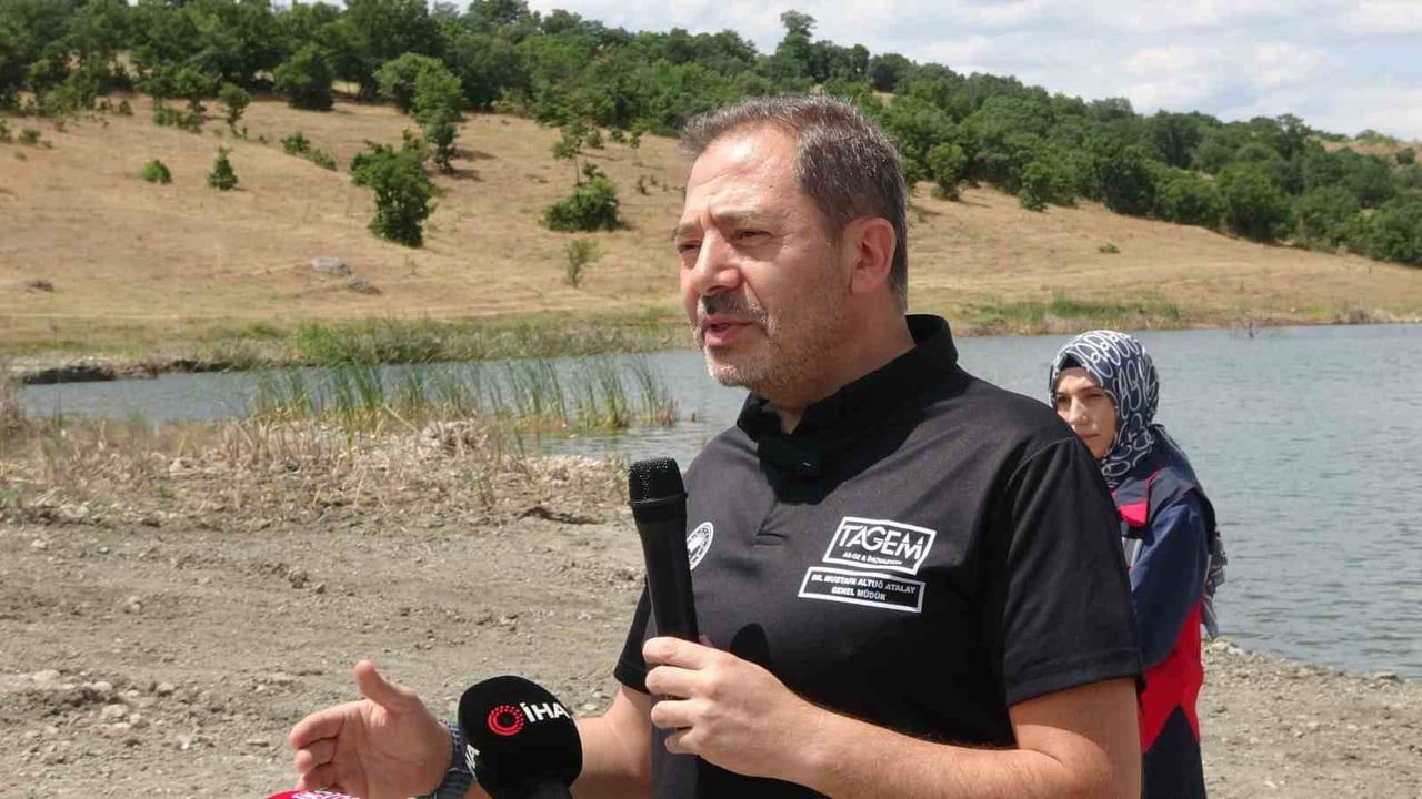 Göletlere salınan 123 bin yavru sazan geleceğe nefes olacak
