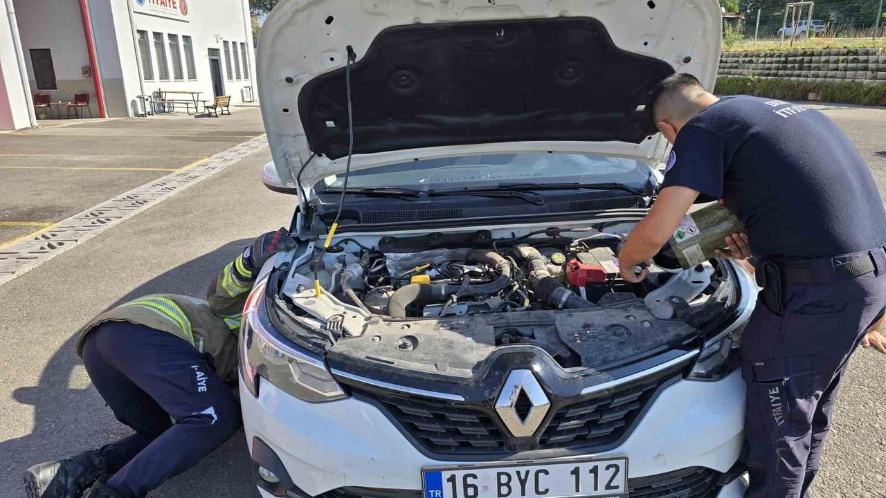 Gölge ararken ilçeler arası yolculuk yapan kedi itfaiye ekiplerince kurtarıldı