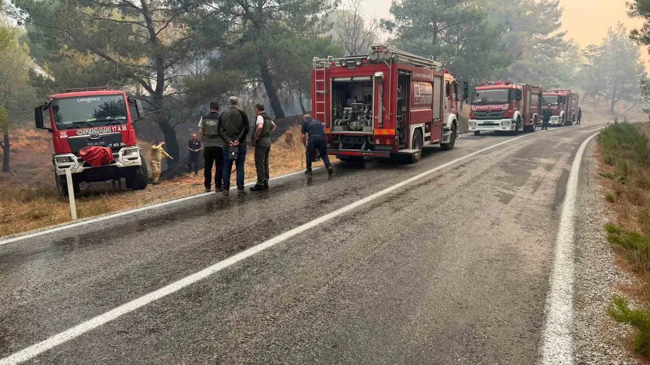 Gömeç'te başlayan orman yangını Ayvalık-Bergama yolunu trafiğe kapattı