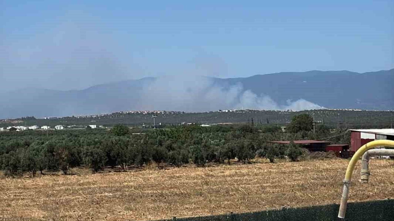Gömeç'te kırsal alanda yayılan yangına havadan ve karadan yoğun müdahale sürüyor