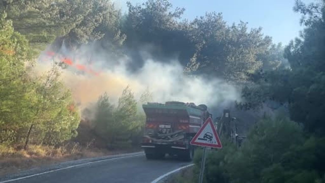 Gömeç'te Kumgedik ve Hacıhüseyinler arasındaki yangına havadan ve karadan müdahale