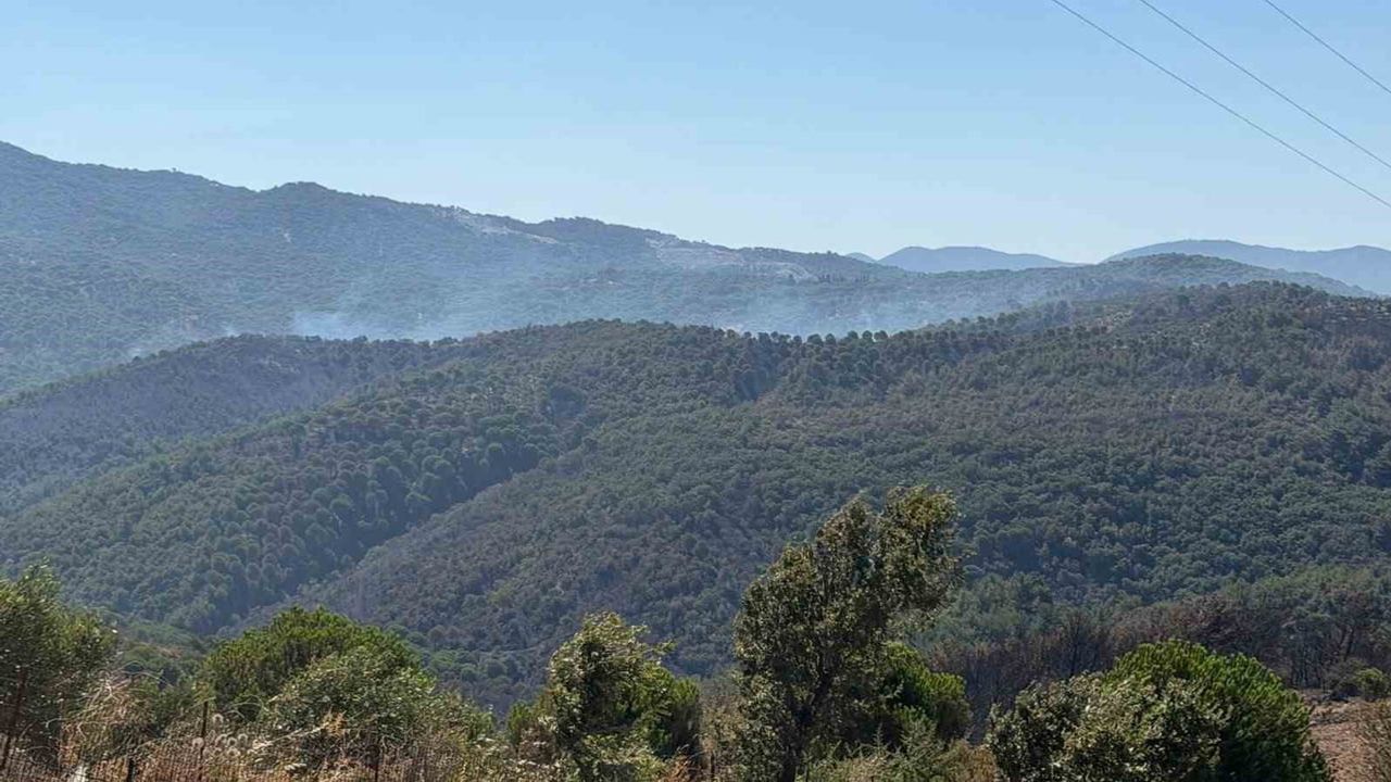 Gömeç'te yangının enerjisi düştü, hava araçları ve ekipler yoğun çalışıyor